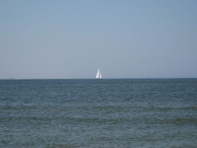 This is picture 1
