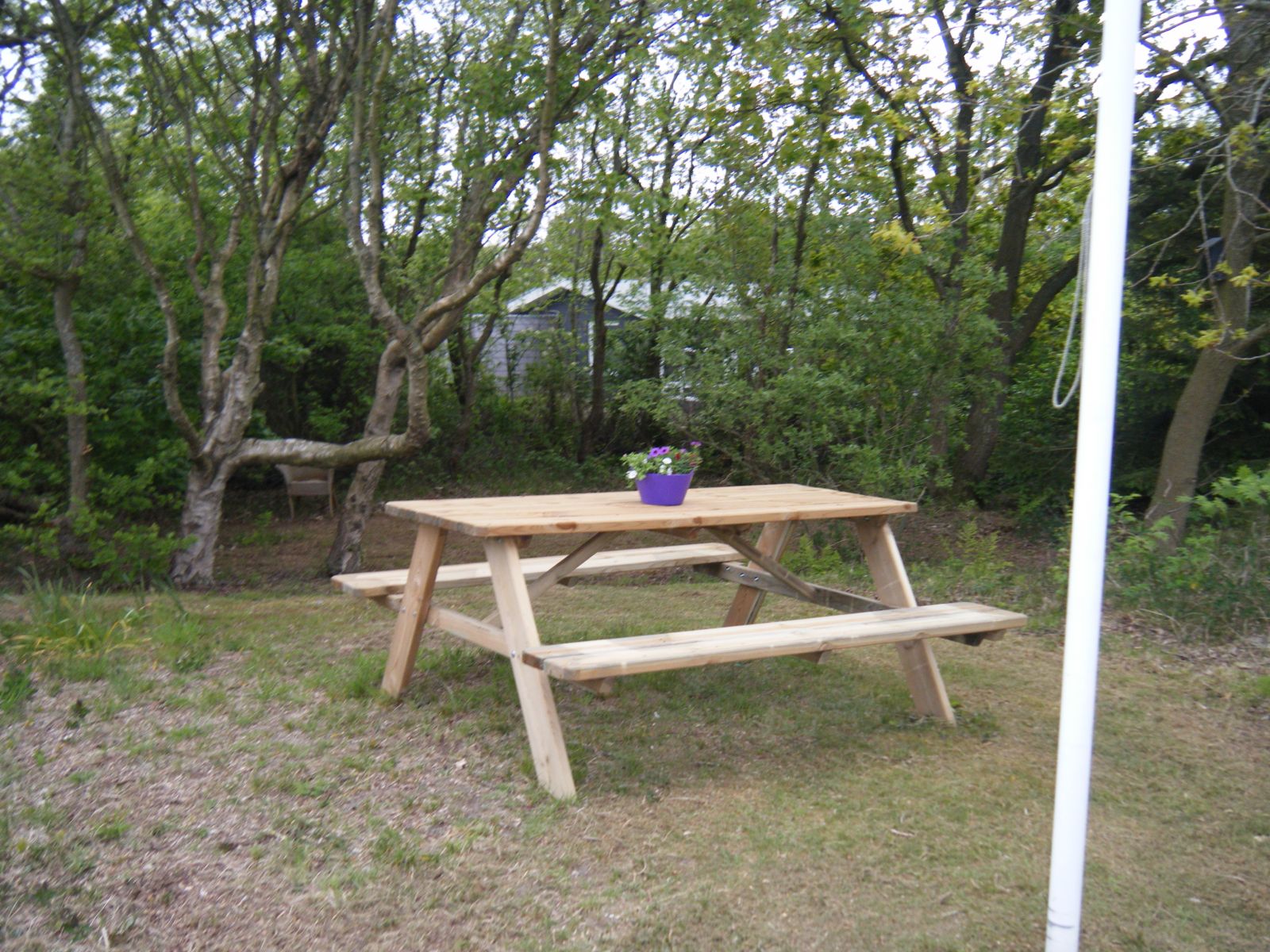 This is picture 1