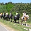 impressies Ameland (vertier)