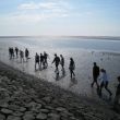 wad excursie