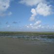 groene strand bij Ballum